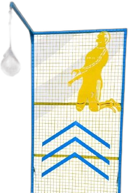 قفزة رونالدو
